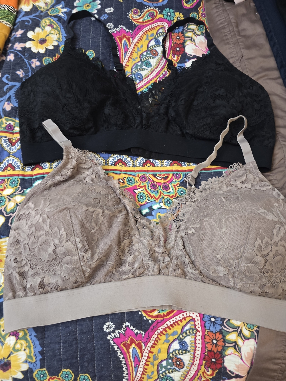 Maurices Lace Bralette Duo in Black & Taupe